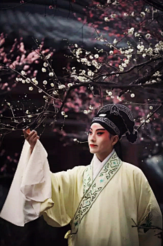 左侧像隔着银河采集琉璃槛采集到青衣入画 之游园惊梦2最是伤人少年心