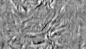 FabricWrinkled005_DISP_6K