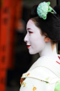 Geisha | Geisha & Maiko