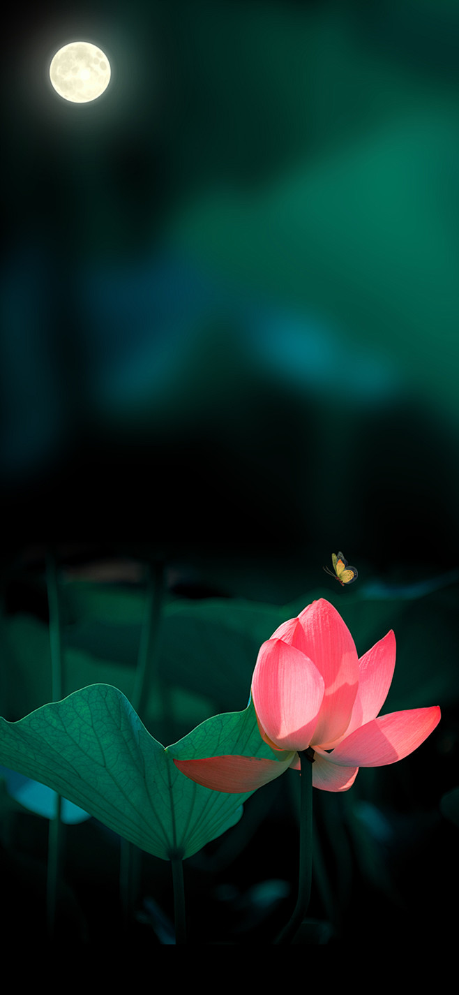 1_B-背景 _急急如率令-B43075...