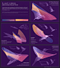 Tabletop Whale : Original science infographics by a designer with a molecular biology degree.