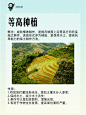 轮作间作套种，免耕垄作连作休耕 - 小红书