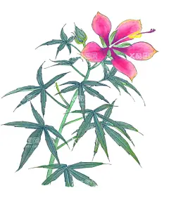 百花争艳  - 源文件下载【酷图网】百花争艳,国画百花争艳,国画,花鸟画,花,水墨画,花朵,红花,手绘花朵,手绘花,水墨画花,抽象花,工笔画,月季,牡丹,水墨荷花,
