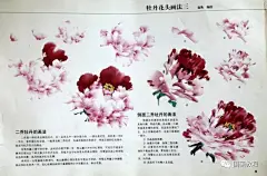 写意牡丹画法集锦（转发收藏了~）