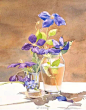法国Delphine Poussot花卉水彩水彩界 ​​​​