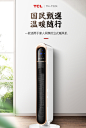 TCL取暖器家用塔式暖风机节能省电遥控摇头电暖气立式静音热风扇-tmall.com天猫