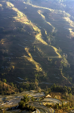 三番的鱼采集到风景