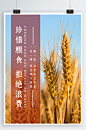 珍惜粮食宣传海报