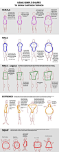 Using simple shapes to draw cartoon torsos http://macawnivore.deviantart.com/art/Chart-Cartoon-Torso-257832903: 