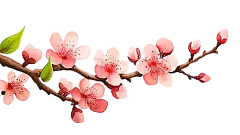 皛九采集到桃花素材