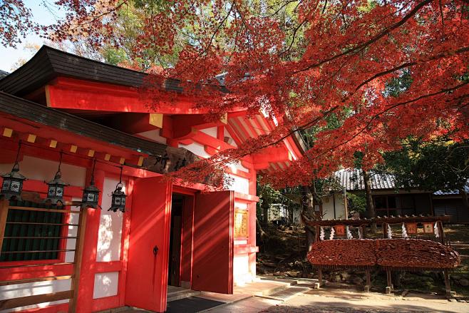 春日大社（かすがたいしゃ）是奈良县奈良市奈良公园内的一座神社，旧称为春日神社。建于和铜二年（710年）。建设者为藤原不比等。为当时的掌权者藤原