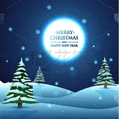 贺卡,冬天,图像,雪花,雪,传统节日,矢量,问候,庆祝