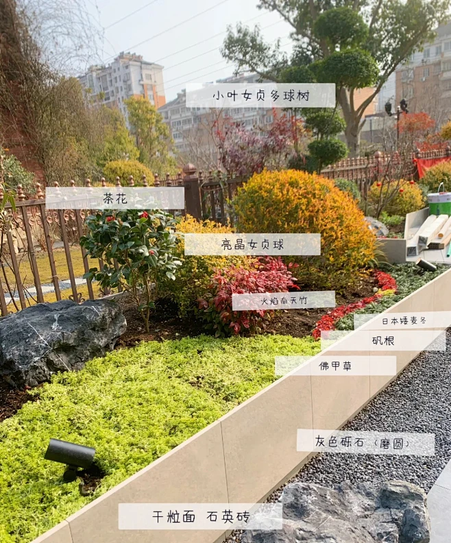植物配置实景 (3)图片_植物-搭配图片素材-花瓣网