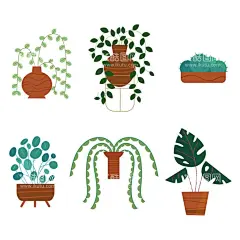 绿色植物  - 源文件下载【酷图网】盆栽,绿色植物,绿植,盆景,花卉花草,卡通,插图,插画