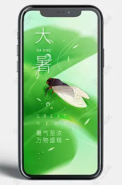 蝉知了插画大暑海报
