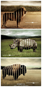 野生动物园创意平面广告：完整的看自然，没有笼子，无限乐趣。