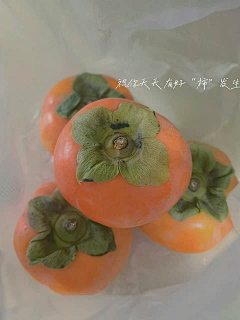 FORST'SDESCENT采集到产品