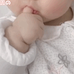 ‏‏ㅤ‏‏ㅤ采集到丸子