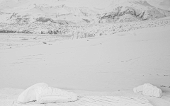 多鱼西采集到背景-----雪