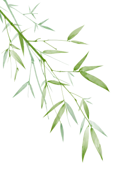 水墨竹子