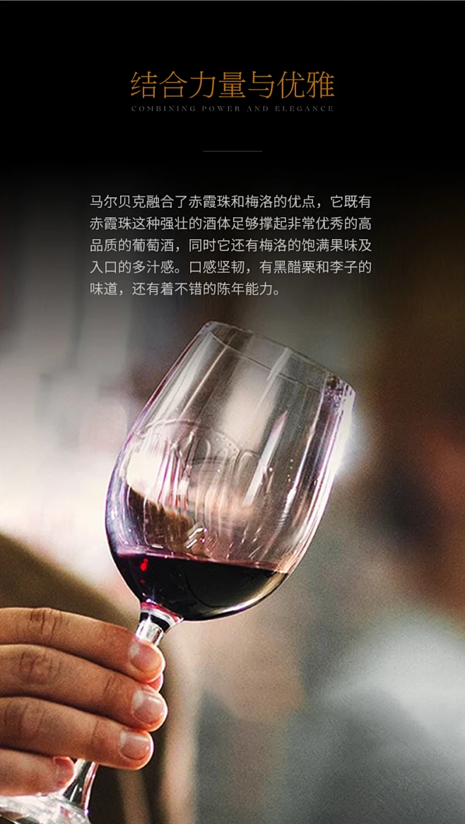 WINEBOSS 法国原装进口100%马尔贝克酿造干红葡萄酒红酒750ml-tmall.com天猫-花瓣网