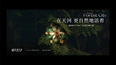 亲爱的那颗树采集到提案