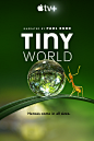 小小世界 第一季 Tiny World Season 1 正式海报