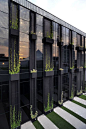 Troughs with Climbers on facade of building, green walls, green wall, living wall, landscaping, landscape design, landscape architecture, hardscaping, hardscape