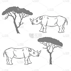 动物,四方连续纹样,南美大草原,鸡尾酒,自然,斑马,非洲,图像,猫,设计