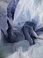 【塑料袋风景】这组作品名为《Plastic Bag Landscapes》（塑料袋风景），是由挪威女艺术家、摄影师 Vilde Rolfsen 创作。 Vilde Rolfsen 使用光源及彩色背景，让从街上捡的普通塑料袋营造出充满魔幻氛围的风景。