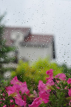 行悠采集到雨的节奏