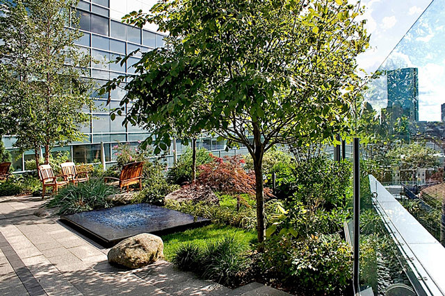 3-美国马塞诸塞州综合医院的康复花园景观...