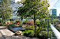3-美国马塞诸塞州综合医院的康复花园景观设计第3张图片