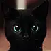 Blake-Belladonna