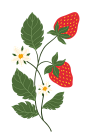 复古清新水果植物柠檬樱桃蓝莓背景印花免抠PNG元素 AI矢量素材 (53)