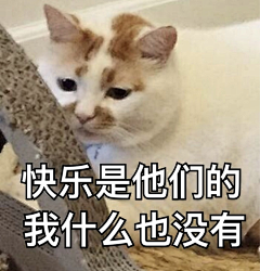 Terri-7采集到猫咪表情包呀