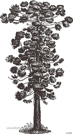 设计不易采集到插画