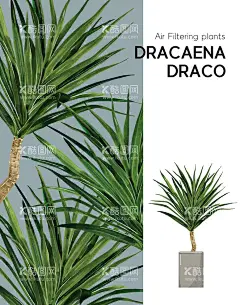 植物背景  - 源文件下载【酷图网】北欧火烈鸟,大理石背景墙,现代简约壁画,火烈鸟背景墙,北欧背景墙,大理石火烈鸟,芭蕉叶,热带植物,手绘植物,北欧壁画,北欧壁纸,欧式背景墙,小清新背景墙,热带植物背景,大理石植物,轻奢大理石,轻奢火烈鸟,简约几何背景,小清新火烈鸟,小清新背景,家装背景墙,