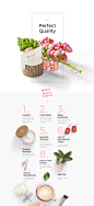 Beauty: Stationery, Cosmetics, Wedding, mockups : Awesome Mockup Scene Generator