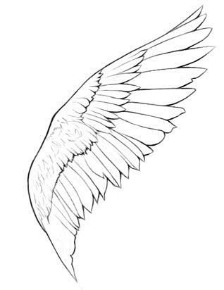 素描造型速写铅笔画钢笔画翅膀漫画卡通北坤人素材