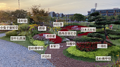 哦哦哦ai哦哦采集到花镜
