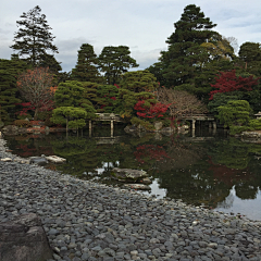 折落采集到日本庭院实景