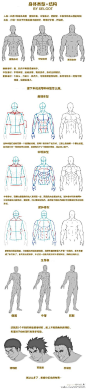 #绘画学习# 【 漫画原型，男性肌肉的绘制教程】参考学习！作者：xylo