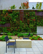 Living wall at Hotel Modera in Portland.