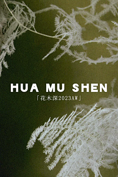 橘子喵喵采集到高级感板式