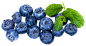 Fresh Blueberry PNG image - PngPix : Fresh Blueberry PNG image is a free PNG picture with transparent background. Download this free PNG photo for you design work. _果蔬食物厨房用品_T2020731 #率叶插件，让花瓣网更好用_http://ly.jiuxihuan.net/?yqr=14730139#