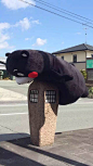 来自相册