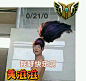 面对疾风吧