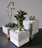 Cubic Concrete Cement Planter