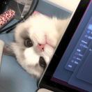 III梁爽